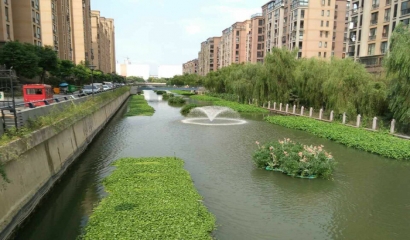 河道污水生態(tài)治理技術(shù)探討